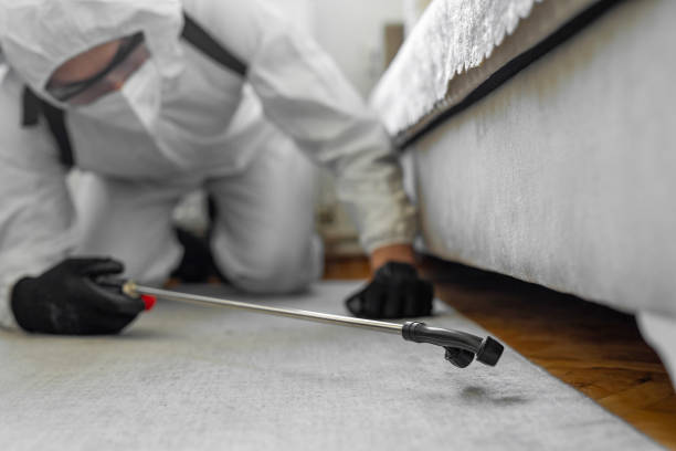 Professional Emergency Pest Control technician working in Milwaukie, OR