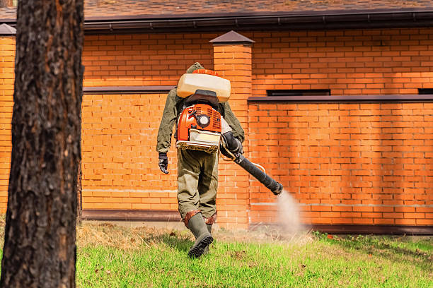 Trusted Cockroach Control service in Milwaukie, OR - Nex Pest Control